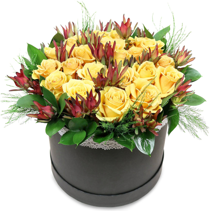 A modern floral hatbox arrangement is captured in crisp detail, set against a plain white backdrop that lets the colours and textures speak clearly. The container is a round, black or deep charcoal box with a smooth, satin-matte finish, giving the piece a contemporary, designer feel that would sit comfortably in a stylish Epping apartment or a shop just off the High Street. Rising above the rim in a generous, dome-shaped cluster are around two dozen golden yellow roses, closely packed so their layered petals almost touch. Each rose is beautifully formed: the outer petals curl gently back while the inner spirals hold a tighter, velvety centre, creating a sense of depth and luxury. The yellow hue is warm and saturated, reminiscent of sunlight breaking through clouds over Epping Forest, casting a hopeful glow. Interlaced through the roses are striking stems of Leucadendron in deep burgundy and maroon tones, their elongated, architectural bracts forming pointed, almost flame-like tips. The colour transition from green at the base to rich red-brown at the edges creates a sophisticated contrast against the smooth, rounded roses, giving the bouquet a sculptural quality. A base of lush, dark green foliage-possibly salal or camellia leaves-cradles the blooms, the leaves broad, glossy, and slightly overlapping to form a neat collar. Soft, feathery fronds of light green filler foliage, similar to fine asparagus fern, emerge delicately between petals and leaves, breaking up the density with a touch of airiness. Around the top of the hatbox, just beneath the flowers, runs a slim band of white lace trim, its subtle pattern adding a whisper of vintage charm. The composition feels both carefully crafted and naturally abundant, ideal as a statement gift, local flower delivery across Epping, or a cheerful centrepiece brightening a dining table near Bell Common.