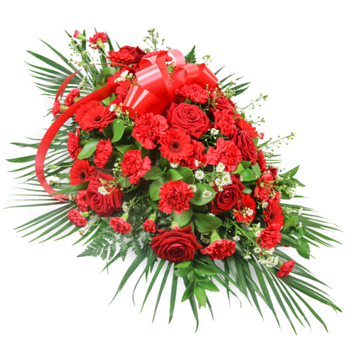 Set against a clean white backdrop, a grand red funeral spray stretches in an elongated, almost boat-like curve, designed to rest gracefully atop a casket or be displayed as a prominent tribute at a memorial. The center of the arrangement is dense and luxurious, anchored by numerous deep red roses whose velvety petals spiral inward, some just beginning to open while others are fully unfurled, revealing their classic, romantic hearts. Interwoven are generous red carnations with intricately ruffled blooms that create a plush, textured surface, and several bold red gerberas whose open, daisy-like faces provide a striking contrast and draw the eye along the length of the piece. Tiny, cloudlike clusters of white filler flowers nestle between the red blossoms, bringing subtle highlights and a gentle, luminous lift to the darker tones. Surrounding this vivid core, a carefully arranged frame of greenery shapes and supports the spray: long, arching palm fronds extend from the sides and base, giving a sense of width and ceremony, while darker, more compact leaves such as salal or ruscus fill in the interior, adding depth and fullness. A few lighter, ferny fronds introduce extra delicacy and natural movement. Near the upper middle, a wide, shiny red satin ribbon forms a generous, multi-loop bow, its trailing ends slipping gracefully down through the flowers like a ribbon of memory. Crafted with the quiet care of an experienced local florist in Epping, this dignified red and green composition feels especially suited to farewell services held in nearby churches or crematoriums, where families wish to express deep love, strength, and respect with a powerful, traditional colour palette.