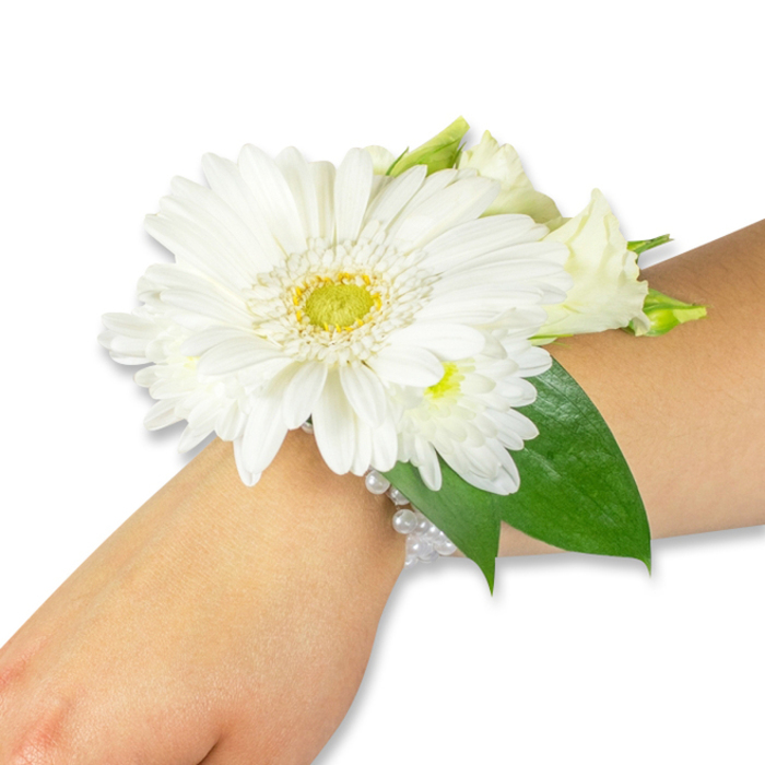 Against a simple white backdrop, a refined white wrist corsage adorns the inner forearm of a person with a light to medium skin tone, photographed to emphasize floral detail and artisan technique. Dominating the arrangement is a pristine white Gerbera daisy, its broad petals layered in concentric rings around a textured lime-yellow centre that offers a luminous focal point. Complementing the Gerbera are small clusters of white spray chrysanthemums and a few creamy lisianthus-tender buds and softly opened blossoms that add a feathery, romantic texture and a sense of delicate movement. Behind and between the blooms sit generous, deep-green leaves, likely Ruscus or salal, their smooth, reflective surfaces and sturdy veins creating a natural backdrop that heightens the purity of the whites. The bouquet is affixed to the wrist with a tasteful multi-strand bracelet of white faux pearls, the beads' subtle sheen adding a hint of vintage glamour without overpowering the fresh florals. The lighting is soft and even, painting the petals with gentle highlights and revealing the natural translucence at their edges; a faint grassy-floral scent seems almost present, the way one might recall the smell of cut stems after a morning spent gathering flowers near Epping Forest. This corsage suits formal occasions-weddings, proms, or significant ceremonies on the High Street-and reads as both classic and intimate, an accessory that carries quiet joy and thoughtful craftsmanship from the local florist to the wearer.