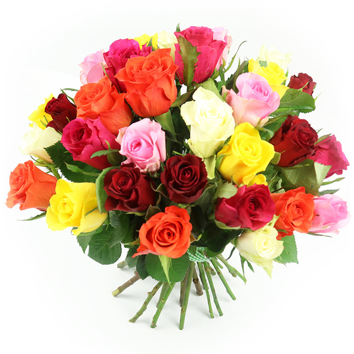 A bountiful bouquet of approximately three to four dozen multi-coloured roses is presented against a pure white background, the kind of elegant, generous arrangement you might choose for a celebration in one of Epping's family homes. The roses are gathered into a rounded, dome-like shape, tightly clustered so the viewer sees almost nothing but swirls of petals and occasional glimpses of dark green foliage. Deep crimson and velvety burgundy blooms sit side by side with bright fuchsia roses, soft shell-pink varieties, cheerful sunny yellows, warm golden oranges, and delicate cream or ivory roses, creating a rich patchwork of tones. Each flower shows off its characteristic layered form: some petals are tightly coiled in the centre, while outer layers gently unfurl, giving a sense of movement and ripening beauty. Between the blossoms, small flashes of deep green leaves add structure and a natural frame, suggesting freshly conditioned stems as you'd expect from a local Epping florist. At the base of this floral dome, the long green stems are drawn together in a straight, orderly bundle and tied with a narrow green and white gingham ribbon or cord, the check pattern lending a touch of country charm reminiscent of picnics near Epping Forest. The stems splay slightly where they meet the white surface, hinting at the weight and fullness of the blooms above. Bright, even lighting illuminates each rose, highlighting both colour saturation and the soft, almost velvety texture of the petals. The overall effect is one of abundance and heartfelt generosity, ideal for marking anniversaries, big birthdays, or simply expressing deep appreciation and affection to someone in Epping.