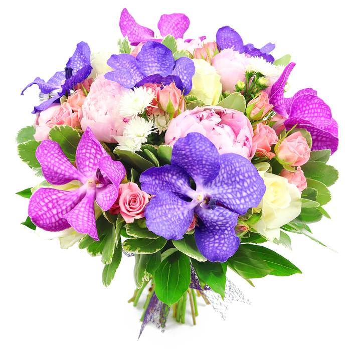 Set against a brilliant white background, this opulent bouquet appears almost to float, every bloom clearly defined in the bright, even light. The eye is first drawn to the large, pillowy pink peonies, fully open and exuberant, their numerous layers of petals forming romantic, ruffled spheres that convey generosity and tenderness. Threaded gracefully around them are impressive Vanda orchids in a tapestry of deep purple, indigo, and fuchsia magenta. Each orchid petal is broad and slightly glossy, marked with an intricate network of pale speckles and veins, giving the flowers a striking, almost patterned fabric effect that adds drama and sophistication. Nestling between these statement blooms are clusters of smaller spray roses in soft pink and peach, some tightly closed, others just beginning to coil outward, alongside a few creamy white or very pale yellow roses that provide a gentle, luminous contrast. Scattered throughout, fine white filler flowers, likely small chrysanthemums or asters, occupy the tiny gaps, softening transitions and increasing the bouquet's lush fullness. A rich collar of greenery holds everything together: deep emerald leaves, lighter tones, and touches of variegation form a natural base that hints at countryside hedgerows around Epping and the greenery of nearby Epping Forest. At the base, the stems are neatly gathered and bound with a subtle purple ribbon, suggesting a bouquet freshly finished in a local studio, ready for same-day delivery to a celebration on Epping High Street or a family gathering in a nearby village. The colour story-fuchsia, royal purple, tender pinks, peaches, and crisp white-creates a sense of joy, luxury, and thoughtful artistry that suits weddings, anniversaries, or any special occasion.