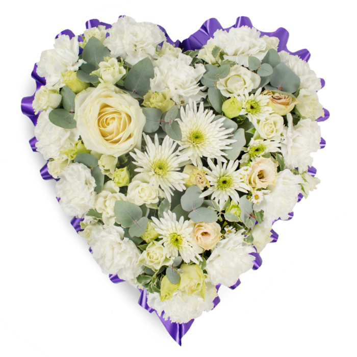 This detailed image captures a beautifully composed, heart-shaped sympathy tribute resting against a stark white backdrop, the simplicity of the background emphasising every flower and fold of ribbon. The heart is generously filled with pristine white and soft cream blooms, arranged by an experienced Epping florist so that the surface appears lush and continuous, with no bare spaces. At the very centre sits an elegant, creamy-white rose, its petals still slightly furled, embodying grace and quiet dignity. Around this focal flower, layers of white carnations spread outward, their ruffled edges creating a soft, cushion-like texture that gently rounds the contours of the heart. Interlaced throughout are white spider chrysanthemums, their fine, elongated petals radiating outward like delicate spokes of light, adding movement and a sense of life to the arrangement. Smaller rosebuds in shades of ivory and pale yellow, some carrying the faintest blush of peach or pink, are carefully tucked amongst the larger blooms, suggesting personal memories and individual stories within the shared tribute. Tiny lime-green buds and delicate filler flowers provide subtle sparks of freshness that lift the otherwise neutral palette without disturbing its serenity. Silvery eucalyptus leaves are thoughtfully nestled between blossoms, offering depth, gentle variation in tone, and the suggestion of a cool, soothing fragrance. The heart's outline is clearly defined by a rich, deep purple ruffled ribbon that frames the flowers in a continuous, pleated border, reminiscent of ceremonial drapery. This sophisticated floral heart, a classic choice for funeral and memorial services in and around Epping and the surrounding villages, conveys heartfelt condolences, lasting love, and quiet comfort, making it an eloquent expression of respect and remembrance.