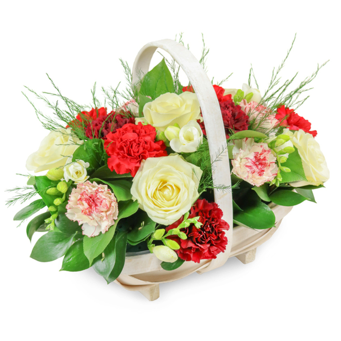 This image shows a thoughtfully composed funeral flower basket, designed to offer comfort and quiet beauty at a time of loss. The arrangement is presented in a light-coloured wooden basket, softly oval and crafted from pale slats that give it a natural, almost Scandinavian feel. Four small feet raise the basket subtly, while an arched handle, creamy and smooth, forms a gentle frame above the flowers. The clean white background focuses all attention on the floral tribute itself, a full, domed composition of reds, whites, and soft pinks resting in abundant greenery. At the centre of the design are creamy white roses in full bloom, their layered, velvety petals opening outwards like small, luminous cups of light, evoking purity, grace, and heartfelt remembrance. Around them cluster deep red carnations, their tight, ruffled petals creating pools of rich colour that naturally draw the eye and symbolise deep affection and love. Woven between are softer, bi-coloured carnations in white and blush pink, some with fine red streaks or edges, lending a gentle, comforting warmth. Smaller white flowers, reminiscent of fragrant freesias, add a delicate rhythm through the arrangement, their slender stems and bell-shaped blossoms softening the boldness of the larger blooms. The flowers are anchored by a bed of dark green foliage-broad, glossy leaves that cradle the stems-while lighter, feathery greens rise and spill softly over the sides, suggesting the airy calm of nearby Epping Forest. The basket feels both traditional and timeless, the kind of piece that could be set beside a coffin in a local chapel, placed at a graveside, or delivered to a family home in Epping as a tender expression of sympathy, sharing love and condolence through colour, texture, and form.
