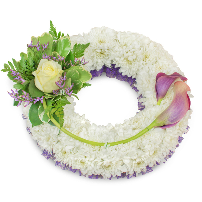 A large, circular wreath whose substantial body is built from tightly packed white chrysanthemum heads, forming a soft, cloud-like surface that reads of purity and remembrance. Beneath those white petals a deep purple ruffled lace or fine netting shows through at the edges, creating a deliberate contrast that defines the wreath's inner curve and adds a respectful touch of colour. On the upper-left side a confident cluster is arranged: a single cream-coloured rose opens gently at its centre, surrounded by a mix of glossy, variegated leaves with paler rims and slender, feathery fern fronds that introduce layered texture. Interspersed among the greenery, tiny lavender statice blooms provide cool, understated accents that echo the purple underlay. To the right, two graceful calla lilies sweep across the wreath's lower-right arc, their trumpet-like blooms graduating from a saturated purple at the tips to a softer peach-pink or blush towards the bases; their green stems flow along the curve and are woven into the chrysanthemum mass to create continuity and movement. A single, longer green stem runs from the left cluster and crosses the lower section to meet the callas, discreetly secured to complete the composition. Presented against a clean white background under soft, even light, the piece feels poised and contemplative - an appropriate sympathy wreath for services held at local venues near Epping High Street or for tributes placed close to Epping Forest, offered by experienced florists familiar with the town's understated sensibilities.