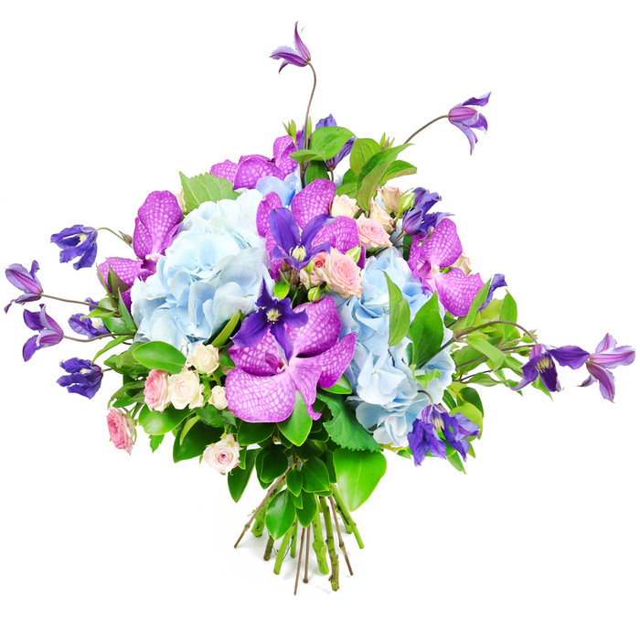 Set against a flawless white backdrop, this bouquet appears like a small piece of living art, carefully composed by a skilled local florist in Epping. The design is anchored by opulent clusters of sky-blue hydrangeas, whose countless tiny petals overlap to create large, pillowy heads that immediately draw the eye. Their airy blue tone, soft yet confident, evokes clear mornings over Epping Forest and forms a serene foundation for the stronger colours that follow. Nestled among these hydrangeas are striking orchids in tones of vivid fuchsia and deep, velvety purple, probably Vanda or Phalaenopsis, their broad, almost sculptural petals etched with intricate veining and speckling that adds texture even without touch. From within the bouquet, slender stems of rich purple clematis rise and tumble with an easy, garden-grown grace, some reaching upward, others slightly cascading, reminiscent of climbing flowers trailing along the fences and archways of homes between Epping and Theydon Bois. Smaller spray roses in gentle blush pink and creamy white peek through the bolder blooms, each tiny rosette unfolding with classic romance, suggesting affection, gratitude, or quiet support. Surrounding all of this colour is an abundance of glossy green foliage, layered in different shapes and sizes to create depth, frame the blossoms, and heighten the contrast of blue and purple against green. The stems are clearly visible at the base, gathered neatly into a hand-tied bundle that hints at freshness and the immediacy of local delivery across Epping. Soft, balanced lighting enhances every hue and texture, allowing the bouquet to convey a mood of refined celebration-perfect for marking milestones, sending comfort, or adding a touch of sophisticated beauty to an Epping home or office.