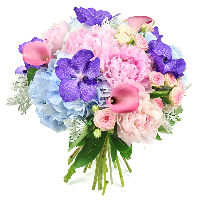 This striking round bouquet is presented against a clean white background, allowing every flower and texture to stand out with clarity, much like a vibrant display in an Epping florist window on a bright morning. Dominating the composition are several fully opened light pink peonies, their generous, ruffled petals creating plush, cushiony blooms that anchor the design. Around them, clusters of powder blue hydrangeas provide a soft, cloud-like base, each tiny petal blending into a larger dome of cool colour that gently contrasts with the warmth of the pinks. Deep violet-purple Vanda orchids are scattered through the bouquet, each bloom broad and confident, patterned with distinctive darker speckles that give an exotic, high-end finish. Cutting through the softer textures, sleek fuchsia pink calla lilies curve with a sculptural elegance, their trumpet-shaped forms adding length and flow, as if gently echoing the rolling lines of the countryside around Epping and Theydon Bois. Tucked between these showier blooms, small blush pink spray roses bring a sense of intimacy and charm, their tightly packed petals and smaller heads enhancing the bouquet's fine detail. Silvery-green dusty miller peeks from within, its velvety leaves introducing a cool, muted tone that softens the composition, while glossy dark green foliage offers depth and definition. At the bottom, the stems are visible, neatly gathered and tied in the classic hand-tied style that local Epping customers often choose for weddings, anniversaries, or stylish home décor. The overall feeling is one of relaxed luxury and thoughtful craftsmanship, a bouquet that would sit beautifully on a dining table in a home off Epping High Street or accompany a special celebration at a nearby country pub, radiating joy, romance, and understated sophistication.