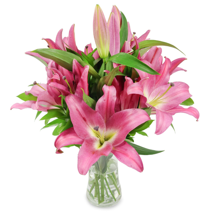 This luminous studio photograph captures a full, upright bouquet of pink lilies in a plain clear glass vase, the flowers detailed against a flawless white field so every botanical nuance is legible. A mass of large, star-shaped lilies opens in shades of fuchsia, magenta and rosy pink, their broad petals curling with a soft, tactile quality that suggests a satin-like surface. Each bloom reveals a central throat where creamy whites give way to chartreuse-yellow tones at the base, and the stark contrast of dark burgundy stamens tipped with pollen adds sculptural definition. Intermixed with the mature flowers are numerous elongated buds-some slim and pale, others richer in pink with tiny green tips-that introduce a sense of time and renewal, the promise of the bouquet's life continuing over days. The arrangement's greenery-long, lance-shaped leaves in a deep, cool green-forms a verdant counterpoint, their glossy texture and upright habit reinforcing the flowers' vertical rhythm. The clear vase subtly tapers and shows neatly cut stems and clean water, a quiet testament to good conditioning and florist technique. In soft, directional studio light the petals cast delicate shadows on the white surface, lending depth and a gentle theatricality without sentimentality. Whether placed in a living room in a house near Epping Underground station or sent as a thoughtful birthday or sympathy gift to a neighbour in Bell Common, this composition reads as elegant, fresh and made to last, celebrating both visual beauty and the tactile pleasure of lilies at peak bloom.