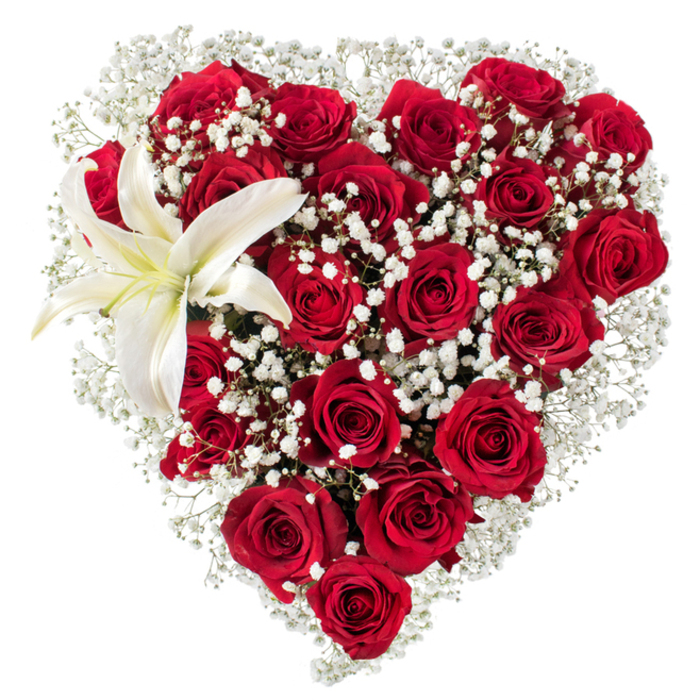 Framed by a stark white background, this heart-shaped floral design feels both classic and intimate. The main structure is composed of rich, crimson roses packed close to one another so that their velvety petals form a continuous, tactile surface; within that sea of red, blooms at varying stages-tight buds, half-open cups, and wide roses-introduce a living rhythm and subtle depth. Interspersed among them are airy sprays of white baby's breath (Gypsophila), their miniature star-like flowers softening the reds and creating a luminous, clouded texture that skirts the heart's edges. Nestled in the upper-left curve, a single white lily unfurls in graceful contrast: broad, creamy-tinted petals with a soft satin sheen and prominent yellow-orange stamens that offer a refined focal point. The arrangement sits alone on white, which heightens colour contrast, sharpens shadows, and reveals the bouquet's careful geometry-the precision of the heart shape achieved through exacting placement while still preserving a natural, garden-fresh look. The composition suggests occasions of deep sentiment-valentines, anniversaries, or a tender tribute-and carries the quiet confidence of a seasoned florist's hand. Imagined in the context of Epping, one can almost sense the morning light that filters through our shop window on the High Street and the floral scents mingling briefly with air from nearby Epping Forest. Freshness is apparent in the firm petals and crisp gypsophila; the overall tone is romantic, refined, and lovingly arranged with local experience and attention to detail.