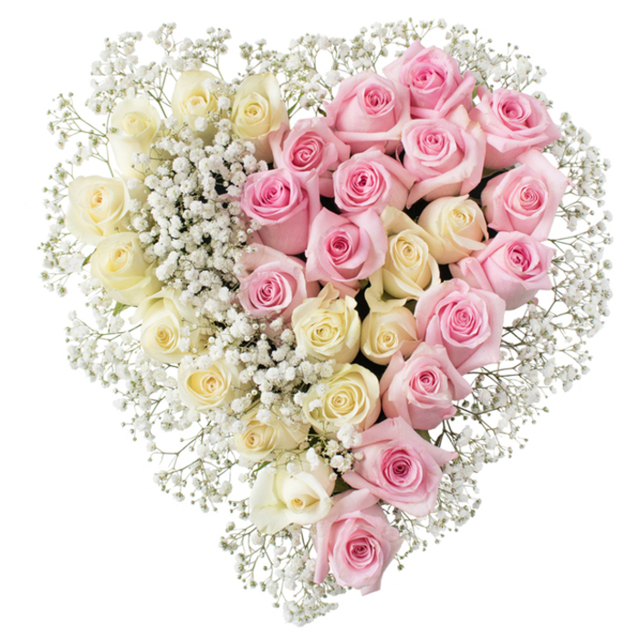 This image shows an elegant heart-shaped funeral tribute, composed entirely of roses and baby's breath and laid out against a featureless white background that makes every bloom stand out clearly. The heart is evenly divided into two contrasting yet harmonious halves. The left side is filled edge to edge with creamy white and very soft yellow roses, each flower at a similar stage of opening so that their rounded petals overlap like layers of silk. Their tone suggests peace, purity and the gentle light of early morning over Epping's tree-lined streets. On the right, the same dense, cushion-like texture is created with medium pink roses, delicately tinted and carefully aligned so that the curve of the heart is crisp and perfectly proportioned. These pink blooms carry a feeling of affection, gratitude and loving remembrance. Fine sprays of gypsophila, or baby's breath, are tucked between the roses and used to trace the full outline of the heart, forming a delicate white fringe that looks almost like lace. The tiny star-shaped flowers soften the transition between the two colours at the centre line, creating a subtle blending without losing the clear visual division. There are no leaves or other distractions, just the interplay of petals and the soft cloud of baby's breath. The overall mood is calm, dignified and deeply sentimental - a fitting floral tribute for a funeral, cremation service, or celebration of life in Epping or nearby villages, offering a heartfelt way to say goodbye while surrounding memories with beauty and quiet grace.