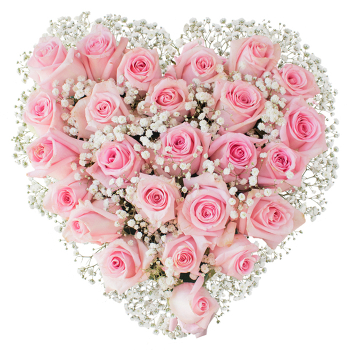 A dense, heart-shaped floral composition of soft pink roses occupies the image, each bloom nestled tightly against its neighbour to form a continuous, velvety field of petals. The roses range from whisper-pale blush to a slightly deeper rose tone, producing a gentle tonal gradient across the heart; some buds remain compact and elegantly folded, while others are in mid-unfurl, their spiral centres offering fine textual detail. Scattered throughout and particularly along the perimeter are abundant clusters of white baby's breath (gypsophila), their tiny blossoms creating an airy, lace-like texture that offsets and illuminates the pink mass. Set against a pristine white background and photographed in clear, bright light, the arrangement's structure and fresh condition are emphasised: petal edges, soft shadows, and the subtle interplay of light and foam-like gypsophila are all visible. From a florist's perspective this is a studied composition-symmetrical, balanced, and emotionally resonant-meant to symbolise deep affection, consolation, or ceremonial love. It suits formal occasions such as weddings and anniversaries, quiet gestures of sympathy, or romantic declarations. Imagine it arriving across Epping with the soft scent of cut roses, carried from the workshop into the town's market area or left by a window overlooking the green: it brings a composed serenity and handcrafted refinement that speaks to both local taste and traditional floral artistry.
