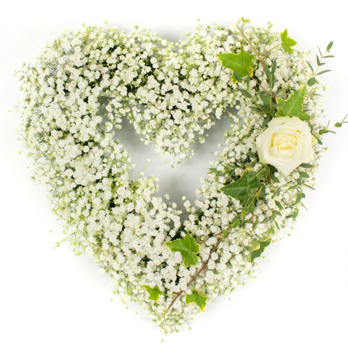 A meticulously arranged heart of Gypsophila captures quiet dignity in this image: the entire heart is composed of innumerable tiny white Baby's Breath, packed to create a pillowy, cloudlike surface that maintains a flawless, rounded silhouette against a stark white backdrop. Toward the upper right arc a single creamy-white rose sits poised, its petals neat and slightly unfurling to reveal a soft, pale centre; this solitary bloom serves as an elegant focal point, conveying reverence and tenderness. Braided through and around the rose are deep-green ivy leaves with glossy sheen and distinctive lobed shapes, bringing classic structure and a touch of formality, while fine, pale-green, eucalyptus-style sprigs extend diagonally down the right side to add textural variation and a hint of herbaceous fragrance. The bright, even lighting renders the whites crisp and fresh and reveals the careful layering and handcraft of the piece-each spray placed to preserve the heart shape and maintain visual balance. As an experienced Epping florist might note, this arrangement suits funerals, memorials, or sympathy deliveries where understated purity is required; it reads as both a celebration of a gentle life and a composed statement of loss. For local families looking for a dignified tribute, Flowers Epping can create and deliver similar pieces across Epping and surrounding neighbourhoods, from the station area to the quieter lanes by Epping Forest, ensuring a thoughtfully prepared floral expression of condolence.