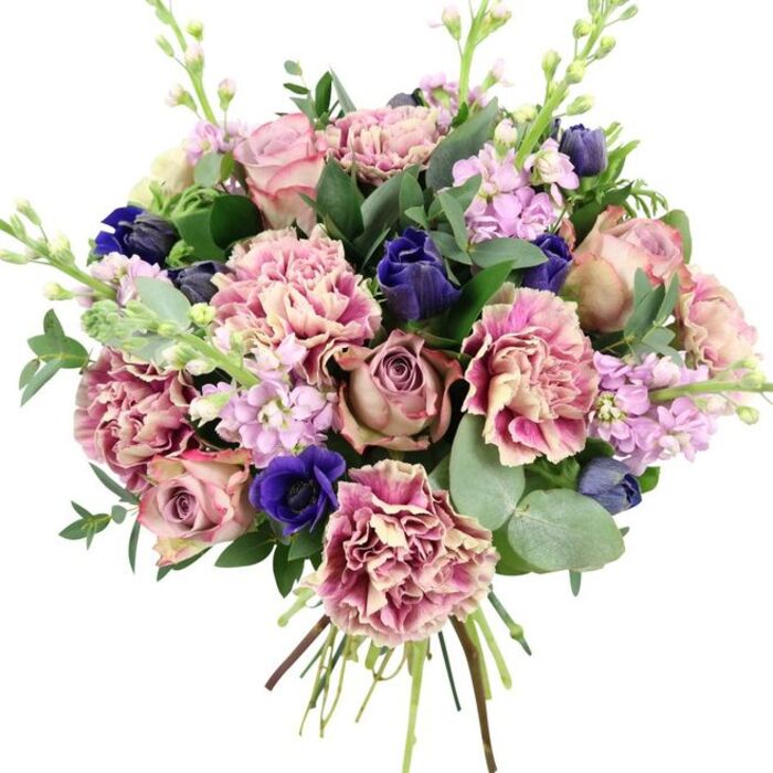 A sumptuous, hand-tied floral bouquet is showcased against a bright white backdrop, allowing every nuance of colour and texture to shine as though it has just been placed on a counter in a boutique Epping flower shop. The central focus is a cluster of garden roses in various romantic hues-soft blush pink, powdery dusty rose, and deeper antique mauve-each bloom fully open, revealing spiralled petals that feel lush and velvety even in the mind's eye. Weaving through these roses are abundant, frilled carnations, their layered petals graduating from creamy beige and blush at the centre to richer pink and fuchsia at the edges, giving the whole arrangement a sense of fullness and movement. Breaking through the pink tones, several deep indigo and royal blue flowers, some in neat, tulip-like buds and one fully open blue anemone with a dramatic almost-black heart, introduce a cool, sophisticated contrast. Slender spires of lilac and soft lavender stock flowers add a delicate vertical rhythm, their many tiny blossoms clustered along upright stems like clouds of pastel fragrance. Surrounding all this colour is a generous collar of foliage: rounded, silvery eucalyptus leaves intermingle with darker glossy greenery, creating depth, structure, and a hint of aromatic freshness reminiscent of a walk along leafy streets just off Epping High Road. The stems are gathered and clearly visible at the base, tied in a neat bundle that underlines the bouquet's freshly prepared, artisanal quality. This arrangement radiates refined elegance and gentle celebration, ideal for weddings, anniversaries, or thoughtful same-day deliveries to homes and businesses throughout Epping.