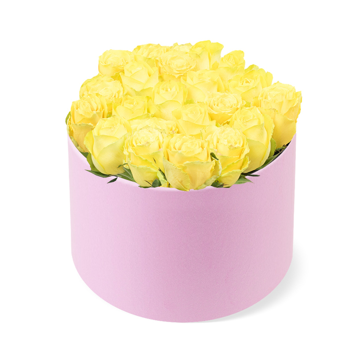 A refined, contemporary floral hatbox arrangement showcases a generous cluster of yellow roses emerging from a pastel pink cylinder, presented against a simple, pristine white background. The box has a clean, minimalist profile and a matte, powdery finish that hints at a plush, almost velvety feel, like something you might find in an upmarket boutique just off Epping High Street. Filling the container are around two dozen fresh yellow roses, each bloom carefully positioned so that together they create a rounded, almost cushion-like dome. The roses are at that perfect stage of opening where their spiralled petals are gently unfurling, revealing layered, velvety textures that catch the soft, even light. Their colour shifts delicately from creamy golden centres to more vivid lemon and sunlit yellow edges, giving the bouquet a sense of depth and movement even though the arrangement itself is very structured. Sparse hints of glossy green foliage flicker through the gaps, set back slightly so that the dominant impression remains the rich carpet of flowers. The white background and balanced lighting remove all distractions, emphasizing the interplay between the sunny roses and the tender blush of the hatbox. This composition feels joyful yet sophisticated, like a thoughtful gift waiting on a dining table in a home near Epping Forest or a stylish surprise on a desk in one of the local offices along Station Road. The design speaks easily of birthdays, anniversaries, or gestures of appreciation, and it quietly conveys the sunny symbolism of yellow roses - friendship, optimism, and a happy, heartfelt message.