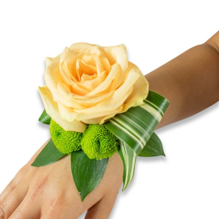 Set against an uncluttered white background, the corsage sits on the inner forearm of a person with light to medium skin, the composition immediately readable and intimate. At its heart is a large, perfectly bloomed rose in a pale peach or champagne-apricot hue, petals layered like a soft, luminous shell that invites a careful touch. Directly beneath and offset to one side are two bright lime-green button chrysanthemums-small, spherical pom-poms whose dense, fine petals create an energetic, textural counterpoint to the rose's velvety smoothness. Broad, deep-green leaves, possibly ruscus or salal, form a generous base and fan outward, lending a sense of depth and verdant support; among them a variegated long leaf, striped with cream and green, is folded with intent and curves across the wrist to add a sculptural line that feels modern and refined. The whole wristlet appears secured by an invisible band beneath the foliage, designed to sit comfortably for hours. In the soft studio light the peach tones glow warmly while the lime green reads fresh and lively, and there's an implied fragrance of rose warmed by a hint of green cut stems. This arrangement suits intimate gatherings and formal moments alike-imagine it at a riverside photoshoot in Epping or carried into a small wedding near Theydon Bois-offering a wearable accent that balances classic romance with contemporary structure and artisan craftsmanship.