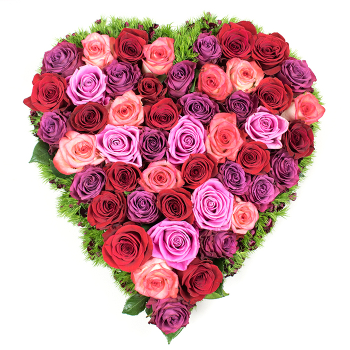 Viewed directly from above, this heart-shaped composition is a study in dense abundance: dozens of fully opened roses are arranged so closely that their velvety faces create a continuous, textured plane. The colour composition is rich and varied - anchor tones of deep crimson and scarlet bleed into shades of burgundy, then transition to gentle blush and coral pinks before punctuating the design with bright fuchsia and magenta. Cool lavender and mauve blossoms thread through the warmer hues and culminate in deeper plum accents, producing depth and subtle shadow that enhance the sculptural curve of the heart. The blooms are set on a refined bed of dark green, fine-leaved foliage that resembles maidenhair fern or moss, a delicate border that both supports and sharpens the heart's edge. The surface reads plush and tactile; petal edges curl slightly in a way that suggests perfect freshness and the soft give of new bloom. There is a quiet herbal-rose aroma that would be noticeable to anyone leaning in, and the overall effect is gracious and composed. This design is made with the attention to detail suited to weddings, Valentine's Day, anniversaries, or dignified memorials, offering an eloquent visual language of devotion and comfort. As a florist who has prepared tributes for families from Epping High Street to the tree-lined approaches of Epping Forest, I recognise the piece as both a dramatic decorative statement and an intimate act of care.