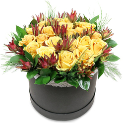A sophisticated round hatbox arrangement is displayed as if ready for hand delivery across Epping, its design echoing the gentle balance of town and forest that defines the area. The box itself is deep charcoal or black, with a soft matte finish that grounds the vivid flowers above. Rising in a generous dome, dozens of golden yellow roses are packed closely together, their petals plush and velvety, some fully unfurled, others just beginning to open like small promises of joy. The colour is rich but not harsh, a warm, buttery yellow that suggests comfort and uplifting cheer, much like stepping into the dappled light near Theydon Bois. Threaded among the roses are striking stems of Leucadendron 'Safari Sunset', their long, tapering bracts shifting from green at the base to deep maroon and burgundy at the tips. They stand slightly taller and more angular than the roses, creating a dynamic interplay of shapes and shadows, almost like small, stylised flames flickering between pools of sunshine. A ring of glossy green foliage provides a lush foundation, the leaves polished and substantial, framing the bouquet so it appears to float above the container. Fine, feathery greenery peeks out just beyond the edge, softening the transition between blooms and box. Encircling the hatbox rim is a narrow band of white lace, a subtle, decorative touch with a delicate pattern that hints at vintage romance while staying understated. The overall mood is one of modern elegance and heartfelt warmth, ideal for marking a special birthday in Epping, saying thank you after a gathering on the High Road, or creating a radiant focal point in a living room overlooking Epping Forest.