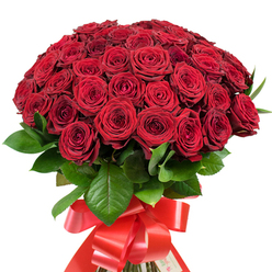 Cradled in this lavish bouquet are at least fifty intense red roses, their petals softly unfurling from tightly layered centers to reveal the kind of plush, velvet beauty that feels almost tangible. Each bloom shines against a pristine white backdrop, creating a visual feast for the eyes and underscoring the clarity of every deep green, glossy leaf that peeks from the abundance. The rounded, dense formation recalls the classic romance of Epping's heritage, perhaps echoing walks along Bell Common or celebrations in local tearooms. The stems are arranged with precision, bound into a cohesive display by a wide scarlet satin ribbon, ornately knotted, its lengths trailing in a touch of sudden drama-a flourish that invites the eye downward and gives the bouquet a refined, celebratory air. This is a gift meant for bold gestures of love or quiet, sincere devotion-perfect for an evening proposal near St. John's Church, a milestone anniversary, or simply welcoming someone home after a stroll in the forest. Created by knowledgeable hands at an Epping florist, this bouquet channels both the emotional intensity and local charm of the area, radiating a timeless message of admiration and heartfelt connection.