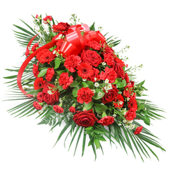 An elegant red casket spray dominates the frame, photographed on a crisp white background so that every bloom and leaf stands out in clear relief. The arrangement stretches horizontally in a graceful arc, with the center heavily packed and the ends gently tapering, echoing the shape of a serene, resting form. Deep red roses, with their plush, velvety petals and classic spiralled centers, mingle closely with clusters of rich red carnations, whose fringed, ruffled heads add a cloud-like softness. Scattered among them, red gerbera daisies open wide like small suns, their petal rays and dark eyes bringing modern energy to the composition. Fine sprays of tiny white flowers are tucked between the reds, giving a glimmer of lightness and suggesting breath and space within the dense heart of the spray. Around this sea of red, varied greenery forms a structured halo: long, dark green palm leaves fan outwards to define the silhouette, shorter glossy leaves create a supportive base, and occasional fern-like fronds offer feathery, textured accents. A broad, satin red ribbon is fashioned into an opulent bow near the top, with its flowing streamers threading gently through the flowers as if marking a path of farewell. The overall mood is one of solemn beauty and heartfelt respect, ideal for a funeral or memorial service in Epping, perhaps travelling from a family home off the High Street to a chapel near the edge of Epping Forest, where such rich crimson tones can speak quietly of love, remembrance, and enduring devotion.