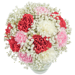 This radiant Epping bouquet brims with romance and artistry, celebrating classic beauty through a skillful interplay of colour and texture. Full-headed carnations in deep crimson, powdery pink, and creamy white blossom together, their frilled petals layered like luxurious silk, forming a lush and inviting dome. Airy white gypsophila or baby's breath, reminiscent of the soft morning fog drifting across the fields by Bell Common, floats among the carnations, softening their vivid hues with a dreamlike, ethereal touch. The arrangement sits securely within a clear, rounded glass vase, which subtly anchors the bouquet and offers glimpses of green stems bathed in cool, clear water. Seen from above and bathed in generous daylight, every detail-each petal, each floret-pops against a pure, uncluttered background, highlighting freshness and meticulous care. The bouquet exudes an atmosphere of understated luxury and heartfelt emotion, perfectly suited for cherished greetings, joyous anniversaries, or meaningful acts of appreciation. This creation, shaped by Flowers Epping's local knowledge, reflects the warm spirit and timeless elegance that brighten special days throughout the Epping community.
