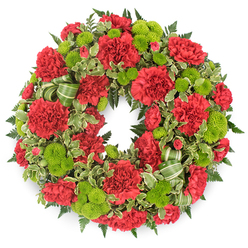 A perfectly round memorial wreath composed of rich red carnations and bright lime green button chrysanthemums appears suspended against a spotless white background, as if freshly finished in a calm Epping flower studio. The red carnations dominate the ring, their plush, frilled petals layered in generous ruffles that give the entire tribute a soft, cushion-like depth. Each bloom is slightly different in size and openness, some fully unfurled in velvety crimson, others still gently cupped, creating an organic, living texture that feels both tender and dignified. Threaded between them, the lime green pompon chrysanthemums shimmer with fresh energy, their tightly packed, globe-shaped heads forming neat buttons of colour that lift and brighten the design. Surrounding and supporting the blooms is a halo of mixed foliage. Deep emerald fern fronds lend an airy, feathery structure, while variegated pittosporum leaves, edged in creamy white, introduce subtle pattern and lightness. The greenery is carefully layered to give the wreath a full, three-dimensional presence, almost as though you could reach out and trace the curve of leaves and petals with your fingertips. Tucked gracefully into one side is a green striped ribbon, looped and folded in soft arcs that echo the circular form and hint at the careful craftsmanship behind the piece. The crisp background ensures the classic red-and-green palette stands out clearly, making this wreath a fitting tribute for funerals, wakes, or memorial services around Epping, from services near the High Street to quiet gatherings along the edge of Epping Forest. It speaks of sympathy, love, and a life honoured with care.