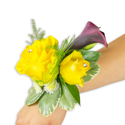 As a local floral stylist I often describe this wrist corsage as sunshine tempered with twilight: two bright yellow roses, one large and open, one smaller and cupped, anchored together on a light-to-medium forearm set against a clean white backdrop. Each rose is finished with a single clear rhinestone at its centre, a tiny jewel that flashes with movement and adds a whisper of glamour suitable for a prom, bridesmaid or guest of honour. Nestled behind the right-hand rose, a deep plum calla lily unfurls, its velvety trumpet-shaped form and near-black throat offering a sophisticated contrast to the cheerful roses. The corsage is built on layers of texture - feathery asparagus fern lifts the silhouette, variegated green-and-cream leaves (reminiscent of pittosporum) provide structure, and clusters of petite white filler flowers add a soft, airy fullness. The wrist placement is diagonal across the frame, showing how the piece sits comfortably and elegantly when worn, the thin fastening mostly hidden beneath foliage. I craft and prepare pieces like this from our Epping workshop, mindful of how the palette complements local venues from St John's Church to small receptions on Epping High Street; Flowers Epping can arrange similar designs for same-day delivery across town and surrounding villages, ensuring freshness and thoughtful presentation for any formal celebration.
