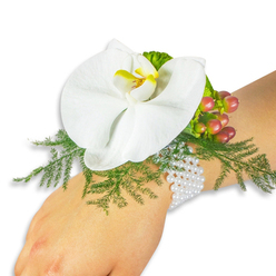 A refined, romantic wrist corsage rests on a light-skinned wrist, photographed on a stark white backdrop so every element reads clearly. At its heart sits a pristine white Phalaenopsis orchid, petals broad and smooth, the lip showing a luminous yellow center shaded into deeper orange - a small, bright heartbeat amid serene white. Surrounding the orchid, delicate asparagus-fern fronds fan out like fine lace, their feathery texture offering a lively green counterpoint that frames the bloom and softens the silhouette against the skin. To the upper right, a little cluster of round Hypericum berries presents a natural color story of ripening: pale green through blush pink into warm crimson, adding depth and a hint of seasonal warmth. A touch of lime-green ruffled foliage near the berries increases the tactile variety and brightens the overall palette. The corsage is secured with a graceful multi-strand bracelet of tiny white pearls that fall smoothly around the wrist, giving a sense of traditional refinement and comfortable wear. In gentle daylight the orchid's satiny sheen and the beads' warm gleam are particularly pleasing; the piece suggests a faint green, floral freshness rather than any overpowering perfume. This is the sort of classic, elegant wrist flower requested by brides and prom-goers from the Epping area - customers I often meet after a stroll through Epping Forest or a browse on the High Street - and it's available from Flowers Epping with care for local delivery on request.