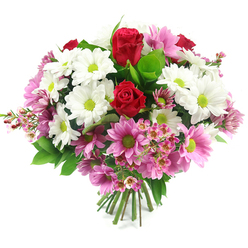 Set on a clean white background, this meticulously crafted bouquet showcases a harmonious mix of colours and textures, much like a thoughtfully designed display in a trusted Epping florist's window. At its heart, two rich red roses immediately draw the eye, their petals velvety and perfectly layered in a tight spiral that suggests both freshness and elegance. Around these roses, a ring of white daisy-like chrysanthemums opens up in a soft, cloud-like circle, each bloom defined by crisp white petals and a vivid lime-green centre. Those green hearts add a lively, contemporary twist to the classic daisy look, evoking the vibrant greenery found on walks through Epping Forest or the surrounding countryside. Woven through the white daisies are numerous pink daisy chrysanthemums, ranging from light pastel pink to more medium rosy tones, all sharing the same bold green centres that tie the palette together. These pink flowers infuse the bouquet with a gentle sense of joy and celebration, suitable for congratulating a friend in Epping or marking a special family moment. Threaded delicately between the larger blooms are sprigs of pale pink waxflowers, their tiny star-like blossoms and fine stems adding a dainty, almost lacy texture that softens the bouquet's edges. A base of lush green foliage, including broad glossy leaves and smaller sprigs of greenery, frames the flowers and gives the design a full, rounded silhouette. The stems beneath are visible, neatly cut and firmly bound, ready to be slipped into a vase in a home near Epping High Street or a quiet side road. The overall feeling is bright yet comforting, ideal for sending love, thanks, or well wishes across the local area.