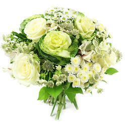 A sophisticated white and green hand-tied bouquet sits against a spotless white backdrop, its rounded shape densely woven with petals and foliage that feel both modern and timeless. In the centre, several ivory roses unfurl in perfect rosettes, each bloom full and open, the creamy tones softening towards buttery hints at the core, as if just warmed by sunlight streaming into an Epping living room on a clear morning. Around them, ornamental kale - sometimes called flowering cabbage - brings a bold, textural contrast: outer leaves in deep woodland green curl protectively around frilled centres of pale chartreuse and lemon-green, recalling the structured borders you might see in tidy gardens off Theydon Road or along Epping High Street. Sprays of small white chrysanthemums and daisy-like flowers scatter throughout, their many fine petals and yellow-green centres offering a light, almost playful counterpoint to the larger blooms. Threaded between them, finer star-shaped blooms, similar to astrantia, lend a delicate, almost lace-like texture that catches the eye upon closer inspection. A generous collar of mixed greenery, from broad leaves to more slender, arching stems, frames the bouquet and deepens the palette of greens, suggesting cool freshness and long-lasting vitality. The visible stems at the base are carefully aligned and tied, clearly designed for easy placing into a vase once delivered to a home near Epping Forest, Coopersale, or the surrounding villages. The overall feeling is one of calm, understated luxury - a bouquet that would be equally at home at an intimate wedding, as a comforting condolence gift, or as a refined centrepiece for a dinner table in Epping.