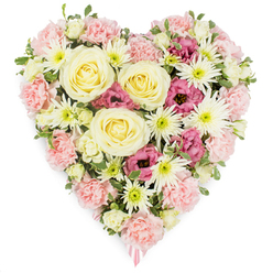 A meticulously crafted heart-shaped sympathy arrangement fills the frame, shown against a pristine white background so that every petal and shade can be clearly imagined. The heart is lush and full, built from an abundance of pastel blooms that sit shoulder to shoulder, forming a solid, comforting shape that speaks of closeness and unbroken bonds. At its core, several large cream and pale yellow roses open in classic spirals, their satin-like petals curling gently outward, suggesting calm, gentle memories and unspoken gratitude. Encircling these roses is a generous bed of soft pink carnations, each head densely packed with ruffled petals that give the heart its distinctive outline and a delicate, cushion-like texture. Dotted among the carnations are crisp white spider chrysanthemums, their many thin, radiating petals reaching out from fresh green centres, catching the light and adding a sense of airiness amid the softness. Deeper notes of colour appear in pockets of magenta-pink lisianthus, their slightly ruffled, cup-shaped blooms offering a quiet depth of emotion, like the more intense moments in a shared life story. Fine green leaves and tiny buds weave subtly between the flowers, adding a touch of natural structure and freshness, as if gathered from a well-tended garden near Epping High Street or around the edges of Epping Forest. At the tapered base of the heart, a pale pink ribbon is just visible, hinting that this design is intended as a funeral or memorial tribute, ready to rest beside a casket or at a service. The arrangement as a whole feels serene and thoughtful, a carefully balanced blend of colour, scent and form that helps families in Epping express sympathy, remembrance and love when words are hard to find.