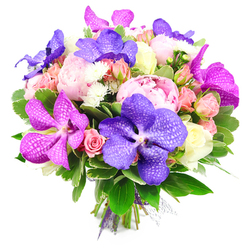 A lavish hand-tied bouquet is displayed against a pure white backdrop, the clean setting highlighting every nuance of colour and texture in the flowers. Dominating the composition are generously bloomed pink peonies, their many ruffled petals overlapping in soft folds that suggest romance, warmth, and a sense of timeless elegance. Nestled confidently among them are Vanda orchids in jewel-like purples and electric fuchsia tones; each orchid petal carries intricate veining and speckled patterns, resembling fine silk or hand-painted porcelain and lending a contemporary flair to the design. Surrounding these focal blooms, clusters of dainty spray roses in shades of blush pink, peach, and cream spiral gently open, some still in bud, others half-unfurled, adding both tenderness and structure. Tiny white filler flowers, likely delicate chrysanthemums or asters, are tucked throughout to brighten the spaces between the larger heads, introducing a light, airy texture. Lush green foliage in multiple shades frames the bouquet, with broad, glossy leaves and smaller variegated greens providing contrast and a natural, woodland freshness, as if just gathered from gardens near Epping's quiet residential lanes or the edges of Epping Forest. The stems are drawn together at the base and secured with a rich purple ribbon, finished with a hint of fine mesh that signals skilled, professional craftsmanship. The palette of deep purples, fuchsias, soft pinks, peaches, and crisp whites glows under the soft, even lighting, creating an atmosphere of joyful sophistication. It feels ideal for an anniversary, a milestone birthday, or as an elegant thank-you gift delivered to homes and businesses across the Epping area.