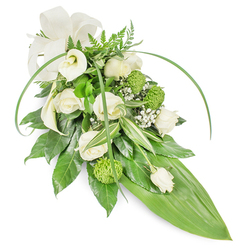 This elongated teardrop spray presents a hushed mix of whites and greens, designed to read as a graceful, contemporary tribute when placed against a simple white background. Several creamy white roses, some opening fully to reveal layered, silky petals and others held in tight bud form, form the comforting heart of the design, while two pristine white calla lilies introduce sculptural clarity with their smooth, trumpet-like shapes. Bright lime-green button chrysanthemums-compact, globed, and textural-are tucked among the roses, their tactile surface catching the eye and easing the solemn palette with a fresh pop of colour. Sprays of tiny white baby's breath float like breath in the spaces between larger blooms, softening edges and adding a fine, cloud-like filigree. The greenery has been chosen for depth and movement: dark, glossy leaves provide a rich backdrop; variegated foliage with crisp cream stripes adds light; delicate fern fronds bring an airy, woodland note. Two slender, arching blades of vivid green foliage sweep over the top, creating a graceful frame, and the composition narrows down to a smooth, broad green leaf that forms the tapered tail at the bottom right. A subtle cream ribbon loop, placed at the upper left, completes the arrangement with a respectful, traditional touch. Imagined under the gentle light of an overcast morning, with the quiet presence of Epping Forest or the nearby churchyard in mind, this spray speaks of condolence and calm-an understated floral statement suitable for memorial services and moments of remembrance.