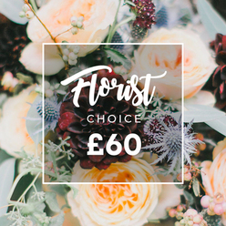 In this intimate close-up, a luxuriant bouquet unfolds like the dusk-lit borders of a private garden on the edge of Epping Forest. A striking near-black burgundy dahlia forms the dramatic heart, its velvety petals layered with botanical precision, while creamy and peach garden roses curl outward in soft, romantic swirls that soften the composition. Piercing the softness are dusty blue eryngium thistles-sea holly-whose spiky silhouettes create a modern, tactile contrast, and petite pale green or white hypericum-like berries gather in small clusters to add a crisp, dewy accent. Lush eucalyptus and mixed greens breathe around the blooms, their varied textures and silvery tones providing an organic frame that lifts the palette. Warm, directional lighting sculpts each bloom and leaf, revealing dew-like highlights and the gentle shadows between petals, conveying scent as much as sight: a honeyed rose sweetness warmed by damp earth and cool eucalyptus. Centered over the bouquet is a subtle white square with rounded corners; inside, an elegant flowing script reads Florist above a smaller uppercase CHOICE and the price shown as ?60, all placed for clear contrast. This is the sort of curated, seasonal selection a local shop might offer for a milestone or quiet celebration, ready for delivery in Epping and nearby High Street neighbourhoods-practically what we assemble at Flowers Epping when customers ask for a confident, heartfelt choice.