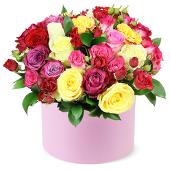 From a local studio near Epping High Street, this radiant hat-box arrangement unfolds like a sunlit garden in miniature. The bouquet combines large-headed roses in deep crimson red, bright sunny yellow, vivid fuchsia, soft pastel pink, bold magenta, gentle lavender, and creamy white, all pressed into a densely packed dome that spills slightly over the top of a smooth pastel pink cylinder. The stems are trimmed with dark green, glossy leaves that peek between blooms, giving the whole display a fresh, forest-fringe edge. The container's matte finish adds a quiet chic that lets the riot of colour take centre stage, while the soft hue of the box keeps the look approachable and contemporary.

I picture this piece brightening a lounge in Epping or a gift-giving moment for a birthday, anniversary, or Mother's Day. The roses appear at varying degrees of openness-from large open blooms that show their velour petals to tighter spray roses and petite buds-creating texture, depth, and movement. The air around the arrangement would carry a delicate rose fragrance, a comforting scent that pairs with the visual warmth. For customers seeking reliable, thoughtful gifting, this bouquet is ideal, with same-day delivery available across Epping and surrounding communities. It's a design that feels crafted by a local florist who understands celebration, care, and the power of colour to lift the spirit, and it embodies freshness and generosity of regional blooms from the area.