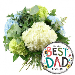 This image shows a thoughtfully composed Father's Day bouquet and balloon duo, photographed against a clean white backdrop so every detail stands out clearly. Dominating the upper left and centre is a generous cluster of hydrangeas, their rounded heads full and luxurious, just like a garden in early summer along the quiet streets near Epping High Street. Creamy white hydrangea blooms sit in the middle, their tightly packed petals giving a soft, cushioned look that feels both gentle and refined. Around them, cool light blue hydrangeas lend a serene, soothing touch reminiscent of clear Essex skies, while lively lime green hydrangeas along the lower and right edges inject a burst of energy and freshness. Between the flowers, silvery eucalyptus leaves with their muted tone and subtle curve mingle with darker, glossy greenery, adding texture and a natural, slightly woodland feel, as if the bouquet has just been gathered from the edge of Epping Forest. The stems are exposed at the bottom, straight and neatly tied, revealing the hand-tied craftsmanship you would expect from a local florist. Nestled on the lower right side, gently overlapping the stems and blooms, sits a round foil balloon. Its surface is bright white with bold black and white striped borders at the top and bottom, framing the upbeat phrase "For the BEST DAD EVER!" in a mix of fun, colourful letters. Around the wording, scattered stars, dots, and a small "No. 1" rosette add a sense of celebration. The overall mood is one of cheerful gratitude, perfect for sending love to a dad in Epping, whether he's being surprised at home or at work.