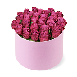 A round hat box overflowing with luxurious deep fuchsia roses is centred against a crisp white backdrop, as if displayed in the window of a stylish Epping florist moments before opening time. The roses are arranged in a perfectly rounded dome, with each bloom nestled closely to the next, creating the impression of a soft, cushion-like surface made entirely of petals. Their colour shifts subtly from rich magenta and berry on the outer petals to lighter, almost rosy pinks toward the heart of each flower, where the spirals are still tightly coiled. The texture of the petals seems velvety and cool, the kind you can imagine brushing against your fingertips as you lean in to appreciate their subtle, sweet fragrance. Tucked discreetly between the flowers, a few glimpses of dark green foliage provide quiet depth without disturbing the solid expanse of colour. Supporting this abundance is a cylindrical hat box in a delicate, pastel pink hue with a refined matte finish that suggests soft fabric or fine paper, echoing the gentle elegance of Georgian front doors and garden walls around Epping's older streets. The arrangement fills the box completely, the blooms slightly overflowing the rim to convey a sense of generosity and opulence. Photographed from above and slightly to one side, the composition highlights the perfect curvature of the bouquet and the clean profile of the box, while a faint shadow grounds it on the white surface. The scene evokes romance, celebration, and a touch of drama, ideal for imagining a same-day flower delivery in Epping for an anniversary, a proposal, or a grand birthday gesture.