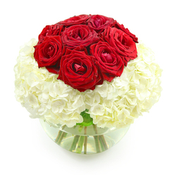 A romantic, rounded bouquet of red roses and white hydrangeas is captured against a pure white backdrop, evoking the feeling of an intimate anniversary celebration in Epping. At the centre of the image, a clear, round glass bowl vase cradles a carefully structured design, with roughly ten velvety red roses forming a domed cluster at the top. The roses are lush and full, some blooms slightly more open than others, revealing the intricate curls of their inner petals, while others still hold a tighter, more secretive form, like a promise yet to be fully revealed. Their deep crimson colour stands out vividly, a visual echo of enduring love and heartfelt devotion. Supporting this crimson crown is a voluminous layer of creamy white hydrangeas, their tiny, four-petalled florets packed tightly together, giving the impression of soft, billowy clouds. The hydrangeas create a smooth, rounded base that gently curves outward, ensuring the arrangement feels abundant without ever seeming overwhelming. Through the crystal-clear glass of the fishbowl vase, long, straight green stems can be seen immersed in clean water, adding a fresh, natural touch to the otherwise minimalist composition. The stark white background removes all distraction, allowing the rich red and soft white tones to glow, as if under gentle daylight streaming into a home near Stonards Hill or a cosy restaurant just off Epping High Street. This image conveys quiet sophistication and intimacy, the kind of floral gift you might send for a milestone anniversary or a meaningful date night, delivered locally to say, with quiet conviction, that your love remains as vivid and beautifully composed as these blooms.