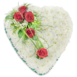 A lovingly crafted heart-shaped floral tribute is shown against a clean white backdrop, its outline instantly recognisable and filled to the very edges with compact, snow-white chrysanthemums. The small, domed flower heads are arranged so carefully that they form an even, velvety surface, like a soft cushion designed to cradle memories. Resting on this pure white heart, five luxurious red roses introduce a striking contrast of colour and emotion. At the upper left curve, three roses sit together in a graceful spray, their deep crimson petals layered and full, symbolising enduring love and respect. They are framed by lush green foliage, including broad, glossy leaves and finer, feathery greenery that adds lightness and texture, along with a few petite white filler flowers that echo the surrounding chrysanthemums. Lower and slightly across to the right, two more red roses are placed thoughtfully, connected to the top cluster by sweeping lines of slim, bright green grasses that arc like gentle brushstrokes over the white base. A dark green satin ribbon neatly encircles the entire heart, giving a tidy, elegant finish that outlines its shape with quiet sophistication. This tribute feels both traditional and personal, the kind of arrangement a local Epping family might choose to honour a much-loved relative at a funeral service, crematorium, or church on the High Street, offering a soft but powerful expression of sympathy and remembrance.