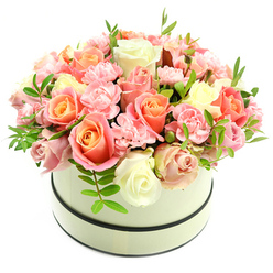 Imagine a soft sunrise captured in a round cream hatbox: a dense, domed bouquet of roses and carnations whose colours flow from warm apricot and coral-peach at the heart to blush pink and tender ivory on the outer petals. The hatbox itself is understated but refined-matte cream with two slim, dark bands encircling it-its simple geometry framing a luxuriant, tactile surface of blooms. Large, velvety roses show varied stages of opening, some unfurling fully to display layered petals, others holding tight, giving the arrangement an alive, breathing quality. Between these, clusters of frilly light-pink carnations add a ruffled, cushion-like texture that invites the fingertips, while sparse bright-green sprigs with narrow leaves lift the palette and punctuate the composition with freshness. Set against a stark white backdrop and bathed in soft natural light, each colour and contour is clear and deliberate-an exercise in balanced abundance that reads both celebratory and quietly intimate. The scent seems almost audible: a light, powdery sweetness that suggests a morning garden after rain. This bouquet is suited to moments of affection and ceremony-birthdays, anniversaries, or to say 'thank you'-and would travel well from a local florist to homes around Epping, near the Market and the quieter streets leading to Epping Forest, arriving fresh and composed.