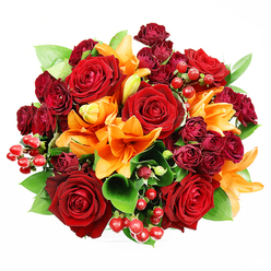 Captured from above on a pristine white field, this densely packed bouquet reads like a small, cultivated landscape of warmth and texture. Deep red roses dominate the view, each bloom unfurling velvet-soft layers that speak of classic romance and rich, heady scent. Interlaced among them are vivid orange Asiatic lilies - trumpet-shaped, with some blossoms fully open to reveal their dark-tipped stamens and others still in tense, graceful buds - lending a lively architectural contrast to the round roses. Dark burgundy spray roses cluster in miniature groups, adding a compact, luxurious texture and deepening the overall tone with near-wine hues. Shiny red hypericum berries are tucked in like bright, joyful punctuation marks; their smooth, spherical surfaces pick up the soft overhead light and add an unexpected tactile accent against the velvety flowers. Broad-leafed green foliage, likely ruscus or salal, emerges between blooms, its cool, glossy leaves balancing the reds and providing a fresh, garden-like backdrop. The soft, diffused lighting highlights petal edges and subtle veins without harsh shadow, making the bouquet read as both opulent and approachable. Imagining this through the eyes of a florist on Epping High Street, I sense its suitability for milestone moments - anniversaries, heartfelt thank-yous, or a comforting celebratory gift - a composition that feels seasonal and thoughtful, ready to sit in a London home near the Forest and bring warmth to a quiet table or a lively dinner.