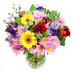 In this image, a generous mixed bouquet rises from a simple clear glass vase, set against a bright white background that lets every bloom and leaf stand out in precise detail. The arrangement is dense and lush, built around a core of sumptuous deep red roses whose velvety petals spiral inward, lending the design a classic romantic centre. Framing them, two golden yellow gerbera daisies with dark brown-orange centres shine like cheerful beacons, their flat, daisy-shaped faces echoing the friendly energy of Epping's bustling high street on a weekend. Surrounding these statement flowers is a halo of soft pink and lilac daisies or chrysanthemums, each with multiple slender petals and tiny sunny centres, adding volume and a gentle, soothing tone. Interlaced among the daisies, slender stems of purple and lavender lisianthus arch gracefully, their bell-shaped blooms and softly curling edges bringing cool sophistication, akin to the quiet calm of a stroll through Epping Forest. Small clusters of bright red hypericum berries peek through the petals, glossy and rounded, offering a contemporary twist and tactile contrast. The whole arrangement is supported by an array of greenery in varied shapes and shades, from dark, glossy leaves to light, airy sprigs, giving a sense of natural movement as if a fresh breeze had just passed through. The clear vase reveals the straight, carefully trimmed stems submerged in sparkling water, underlining the freshness and skilled preparation typical of Flowers Epping. This bouquet feels like a joyful celebration captured in flowers, ideal for marking milestones, sending congratulations, or bringing a burst of colour into homes across Epping and the surrounding lanes.