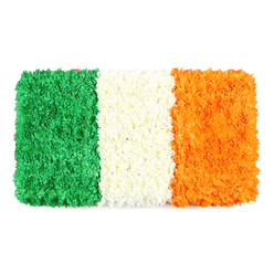 Across a clean white backdrop, this rectangular tribute translates the Irish flag into living petals. The left green panel forms a lush field of tiny blossoms-green carnations or chrysanthemums-dense yet restless, giving the surface a soft, undulating texture that invites the eye to wander. In the center, the white band appears as a crisp, cloud-like strip of tightly clustered petals, its whiteness bright and serene, acting as a gentle separator between the two colour blocks. The right-hand orange panel mirrors the density and sheen of its neighbours, the tiny blooms glowing with a warmth that mirrors late-afternoon sun. The result is a tactile, three-dimensional surface-evidence of careful hands and patient craft. Set against the pure white background, the flag conveys celebration and respectful remembrance in equal measure, a living symbol of unity and heritage. For communities in and around Epping, this arrangement is ideal for Irish culture events, St Patrick's Day gatherings, or reflective moments of tribute, with dependable delivery across town. The scent of fresh petals is mild and clean, and the colours endure with a lively, hopeful spirit, a tangible connection to Ireland's history as offered by local florists.