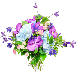 A luxurious hand-tied bouquet is displayed against a crisp white background, every bloom arranged with the care of an experienced Epping florist. At its centre, you can imagine mounded clouds of pale sky-blue hydrangeas, their many tiny petals overlapping to create generous, cushiony clusters that feel both soft and abundant. Woven boldly through this gentle blue foundation are exotic orchids in vivid fuchsia and deep royal purple, likely Vanda or Phalaenopsis, their petals wide and slightly glossy, etched with speckled or marbled patterns that immediately catch the eye. Rising elegantly from the arrangement, deep purple clematis blooms stretch and trail on slender stems, their star-like or slightly bell-shaped flowers adding movement and a touch of wild romance, not unlike the climbing flowers you might see scrambling over garden fences near Epping High Street. Between these statement flowers, dainty spray roses open in tones of blush pink and creamy ivory, offering a softer note of sweetness and old-fashioned charm, as if meant for a heartfelt anniversary surprise or a thoughtful get-well gift delivered to a friend on the edge of Epping Forest. The bouquet is generously framed by layered greenery, including broad, polished leaves and finer textured foliage, providing contrast, depth, and a feeling of freshness. The stems are neatly gathered and tied, showing off the natural lines of the flowers and the precision of the florist's hand. Lit with gentle, even light that emphasises the colours without harshness, this arrangement radiates composed celebration, ideal as a statement piece for local dinner parties or intimate weddings around Epping.