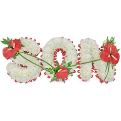 The photograph shows a carefully composed funeral flower tribute in the shape of the word "SON," presented against a simple white studio background so that nothing distracts from the flowers themselves. Each of the three letters is solid and three-dimensional, formed entirely from tight clusters of white chrysanthemums that create a thick, velvety blanket of petals. The white blooms are so closely set that no gaps are visible, giving an impression of softness and continuity, like fresh snow resting on gentle hills. Around the edge of the letters, a bright red satin ribbon is pleated into a neat, ruffled trim, adding a vivid, almost glowing outline that clearly separates each letter from the space around it. The tribute is embellished with three distinct groupings of rich red anthuriums, their waxy, heart-shaped faces and golden spadices shining as focal points. One lush cluster, backed with dark green leaves, hugs the upper left curve of the S; another single bloom rests in the lower centre of the O; a final, more elaborate spray of several anthuriums, mixed ferns, and broad foliage sits proudly on the upper right of the N. Thin, arching green stems wander lightly across the chrysanthemums, drawing the eye from one cluster of red blooms to the next. The overall mood is tender and respectful, like something a family from Epping might order to be delivered to a local crematorium or church service, using the timeless pairing of white for purity and red for deep, enduring love to pay a heartfelt tribute to a much-missed son.
