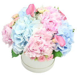 Envision a bouquet that carries the memory of an early morning sky-soft pink clouds drifting through clear blue-captured in blooms. The hydrangea clusters sit full and pillowy, grounding the composition as the peonies unfold their many delicate petals and catch the light in satin folds. Interlaced through are sprigs of cream and blush spray roses, their fragrance faint but unmistakably romantic, along with a few tightly furled rosebuds that add texture and intimacy. Two trumpet-shaped calla lilies in a deeper pink rise with architectural grace-one positioned toward the top, the other toward the base-creating a striking vertical line. The whole display rests in a smooth cylinder, its clean, contemporary form letting the flowers sing while the vessel quietly supports the design. Velvet-soft petals meet the satin sheen of the calla lilies, while a whisper of dusty miller and fresh green leaves adds depth and a natural breeze through the arrangement. This bouquet speaks of calm and hope, a heartfelt gift for birthdays, the arrival of a new baby, or a comforting gesture. In Epping, Flowers Epping brings this design to life with careful balance and quiet confidence, ensuring the colours glow in natural light and travel well for delivery across the town and nearby communities. It's ideal for brightening living rooms, decorating celebrations, or simply saying you care, with a same-day delivery option that keeps pace with your plans.