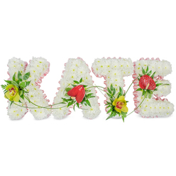 Set against a crisp, uncluttered white background, this floral name tribute spells out KATE in four bold, sculpted letters, each one a testament to careful, loving floristry. The letters are formed entirely from dense clusters of pristine white chrysanthemums, creating a velvety, cloud-like surface that feels soft and comforting, the way many families around Epping imagine a peaceful farewell. Tracing every outer edge is a fine, blush-pink ribbon, gently gathered so it ripples around the contours, giving the design a subtle touch of grace and femininity without overwhelming the purity of the white blooms. At the left side of the K and near the foot of the T, lime-tinted cymbidium orchids with rich reddish centres stand proudly, their smooth petals catching the light. On the A and the E, deep red, heart-shaped anthuriums add a bold, glossy focal point, almost like small love tokens placed among the flowers. Around these feature blooms, layers of dark and mid-green foliage, including fern fronds and polished leaves, create contrast and depth, while trailing green vines and tendrils arc and curve from letter to letter, quietly suggesting connection and continuity. The whole arrangement appears carefully balanced, with colour and greenery thoughtfully repeated so the eye travels naturally across the name. This custom sympathy tribute could be imagined resting by a graveside at Epping Cemetery or arriving as a special funeral flower delivery from a trusted local florist, offering a deeply personal, beautifully crafted expression of remembrance for someone called Kate.