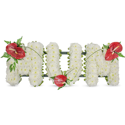 A heartfelt floral tribute spelling MUM in elegant capital letters, crafted from hundreds of tightly packed white spray chrysanthemums that form a lush, voluminous surface against a clean white background. Each small chrysanthemum has been chosen for fullness and purity, creating a soft and even texture that reads as serene and consoling. A discreet dark green framework beneath the blooms traces the silhouette of each letter, visible as a thin outline where the white flowers meet the edge, lending strength and a neatly finished profile. To punctuate the purity of the whites, three vivid red anthuriums are artfully positioned: one set on the upper left curve of the first 'M', another cradled at the base of the central 'U', and the third placed on the upper right curve of the final 'M'. Their glossy, heart-shaped spathes and pale yellow spadices bring a deep, tropical red that symbolizes enduring love and adds a gentle focal warmth. Each anthurium is accompanied by feathery fern fronds and broader dark green foliage, and the arrangement is tied together with thin arching blades of grass or stems that sweep gracefully across the letters. Photographed in soft daylight, the tribute reads as both dignified and intimate-quietly luminous, with the tactile contrast between powdery white petals and smooth, waxy red spathes. As a local touch from Flowers Epping, this arrangement is often requested by families in and around Epping and Epping Forest when they want a personal, elegant memorial to celebrate a mother's life.