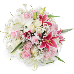 Set against a spotless white backdrop, this rounded bouquet looks as though it has just been lifted from a florist's workbench in the heart of Epping, every stem thoughtfully placed. The eye is first drawn to the serene white lilies, their long, sculpted petals curving outward to reveal pale throats and slender stamens, while a few green buds stand tall, promising blooms yet to unfold. Nestled among them, blush pink roses and creamy ivory roses mingle in different stages of opening: some tightly furled and full of anticipation, others generously open, their velvety layers catching soft reflections of light. Striking magenta and fuchsia Oriental lilies, reminiscent of Stargazer blooms, erupt through the pastel tones, their petals richly pigmented and delicately speckled with deeper burgundy markings that lead towards prominent yellow anthers. Wisps of white baby's breath float between the larger flowers, like a fine mist, adding delicacy and a sense of movement as if a gentle breeze from Epping Forest had brushed through. Subtle hints of glossy green foliage peek from underneath the blossoms, providing a natural frame and grounding the composition. Bright, even lighting illuminates the bouquet's contours and textures, from satiny lily petals to the cloud-like gypsophila, giving it a fresh-from-the-shop radiance. The mood is one of tender celebration and thoughtful romance, perfectly in tune with intimate weddings, milestone birthdays, or heartfelt get-well wishes delivered to homes and hospitals around Epping. This image captures not just flowers, but the feeling of a carefully chosen gift, handcrafted by a local florist who understands the emotions behind every order.