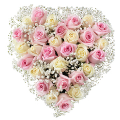In this serene heart-shaped floral tribute created by artisanal florists near Epping's forest edge, elegant blush pink and creamy ivory roses nestle closely together. Each rose is at a different stage of bloom, with graceful petals curving outward, their texture inviting touch. Delicate sprays of snow-white baby's breath are scattered throughout, lending the heart arrangement a cloud-like softness that gently brightens the rose tones. Every detail is visible under gentle, even lighting against a clean white backdrop, so that the natural hues appear especially vivid and calming. This bouquet's thoughtful symmetry and full-bodied heart form evoke a sense of embracing warmth, perfect for moments of remembrance at St. John's Church or as a tender gesture to loved ones across Epping and Thornwood. The combination of subtle fragrance, soft pastels, and airy infant's breath suggests a quiet celebration of enduring affection or a loving farewell after a memorial at Epping Cemetery. Rooted in local tradition and care, this arrangement stands as a graceful expression of appreciation, sympathy, and love-carrying the gentle spirit of Epping in every petal.