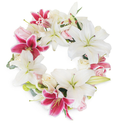 Evoking the tranquillity of an early morning stroll through the woodlands near Theydon Bois, this elegant floral wreath is a masterpiece of balanced colour and heartfelt expression. Dominating the circular design are snowy white lilies, their star-shaped petals delicately unfurled to reveal pale green stamens, representing purity and peace. Interspersed among them are dramatic fuchsia pink lilies, vivid in hue and flecked with speckles at their throats, serving as radiant points of warmth and memory. Pale blush and cream roses, both budding and in full bloom, are lovingly woven between the larger lilies, their delicate texture imparting a gentle softness. Muted green foliage-perhaps eucalyptus or native leaves from the Epping countryside-emerges quietly from among the blooms, adding depth and a touch of the natural world. This lush, continuous circle, glowing gently against a clean white background, symbolises eternal love and remembrance. Such a display is often chosen for sympathetic tributes at local Epping memorial services, honouring lives lived and offering comfort to grieving hearts. The arrangement's careful artistry, evoking the calm of the Epping landscape, speaks to the local florist's passion for creating flowers that offer solace, beauty, and hope.