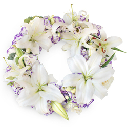 An elegant sympathy wreath of white and lilac tones rests against a clean white backdrop, forming a complete, unbroken circle that speaks of continuity and enduring remembrance. The eye is immediately drawn to the generous cluster of white Oriental lilies that dominate the design, their large, star-shaped blooms opening fully to showcase smooth, waxy petals and central pistils flushed with the palest green. Some lilies are still in tight bud, others half-open, creating a gentle sense of movement and time passing, much like the changing seasons along the streets leading from Epping High Road up towards the forest. Nestled among the lilies are clusters of lisianthus in white and soft lavender, their multi-layered, gently ruffled petals edged in shades of purple that bring a subtle, restful colour contrast. Here and there, small cream-coloured buds and perhaps a few miniature roses emerge from the cushion of flowers, adding to the wreath's lush, tactile richness. Fine threads of deep green foliage and slender leaves weave in and out of the composition, supporting the blooms without overwhelming them, and lending a natural, garden-like structure. The ring itself is full and balanced, with no visible gaps, giving the impression of careful, experienced craftsmanship by a local Epping florist preparing a tribute for a chapel of rest or church service. The wreath radiates quiet grace, purity, and respect, making it an appropriate floral expression of condolence for funerals, memorial gatherings, or graveside tributes throughout the Epping area.
